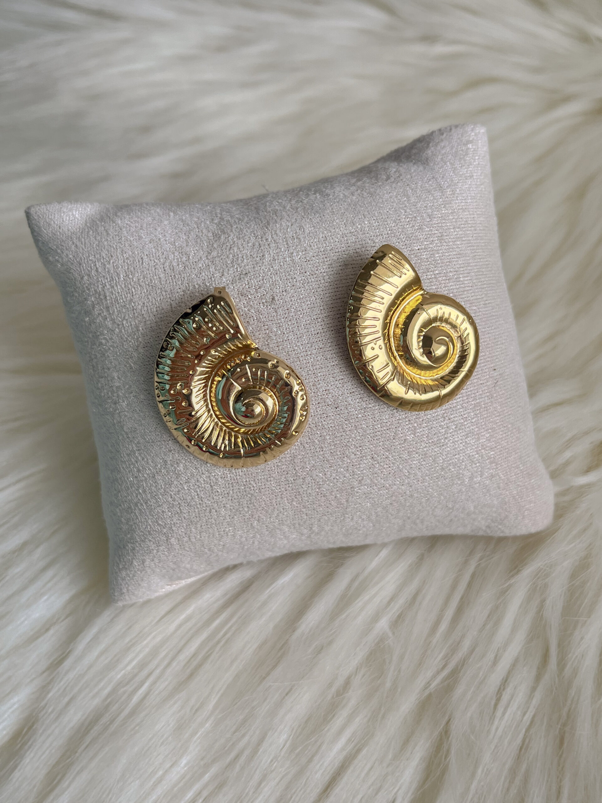 Aros Caracoles