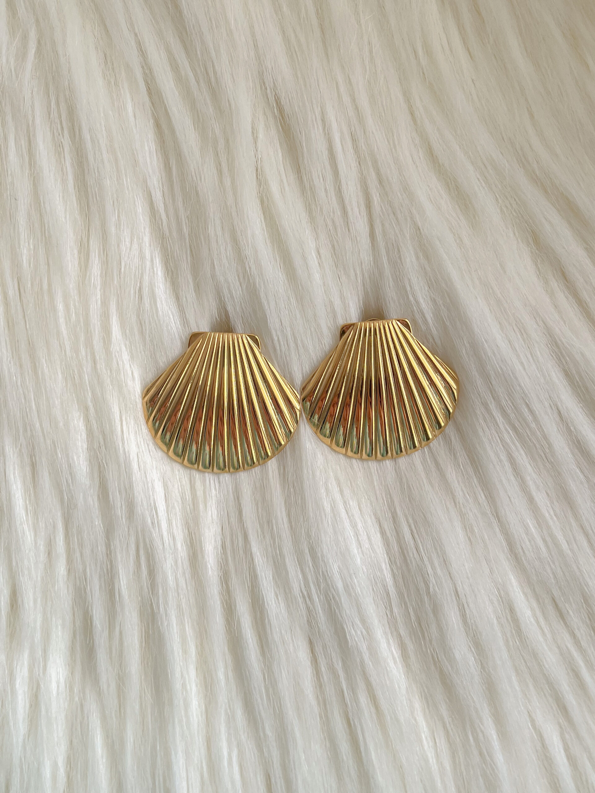 Aros conchas de Mar L
